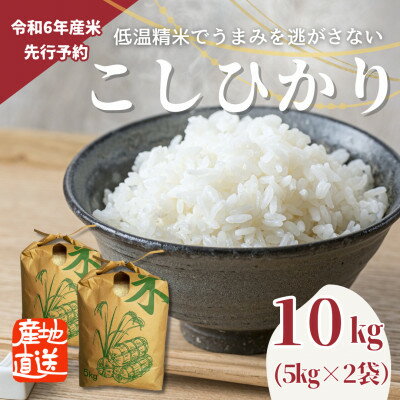 【先行予約】令和6年産　こしひかり(矢吹町三神地区産)10kg(5kg×2)【1377388】