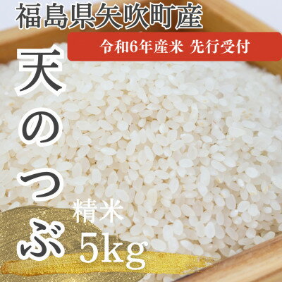 【ふるさと納税】【令和6年度産　先行予約】　天のつぶ(矢吹町中畑地区産)5kg【1477962】