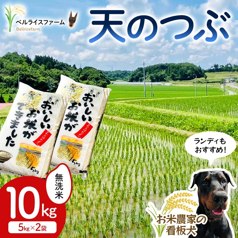 【ふるさと納税】 〈先行予約〉令和7年産 農家直送 ベルライスファームの天のつぶ 無洗米10kg F6U-129