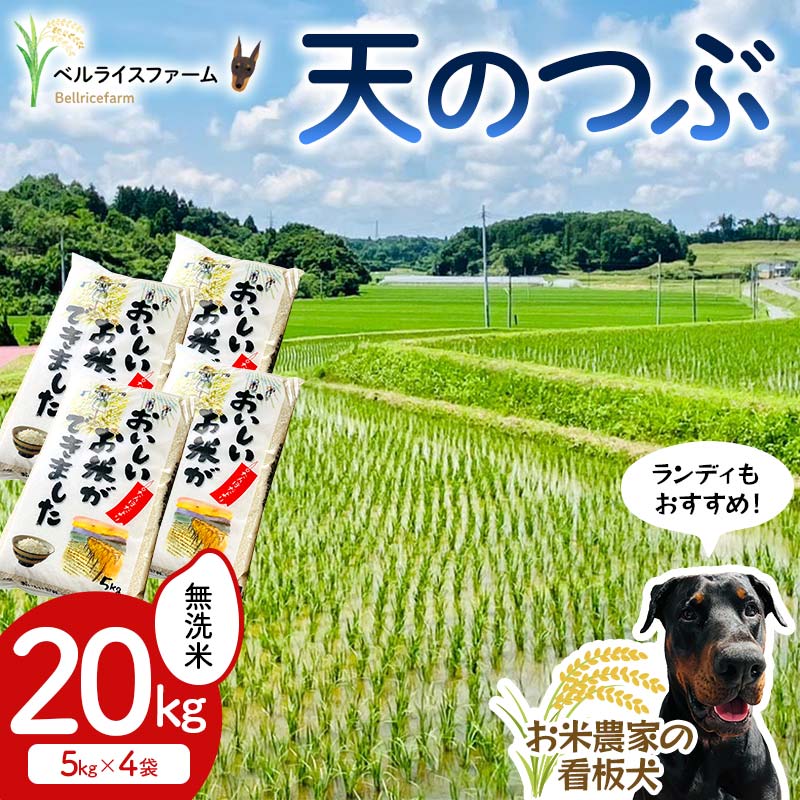 【ふるさと納税】 〈先行予約〉令和7年産 農家直送 ベルライスファームの天のつぶ 無洗米20kg F6U-130