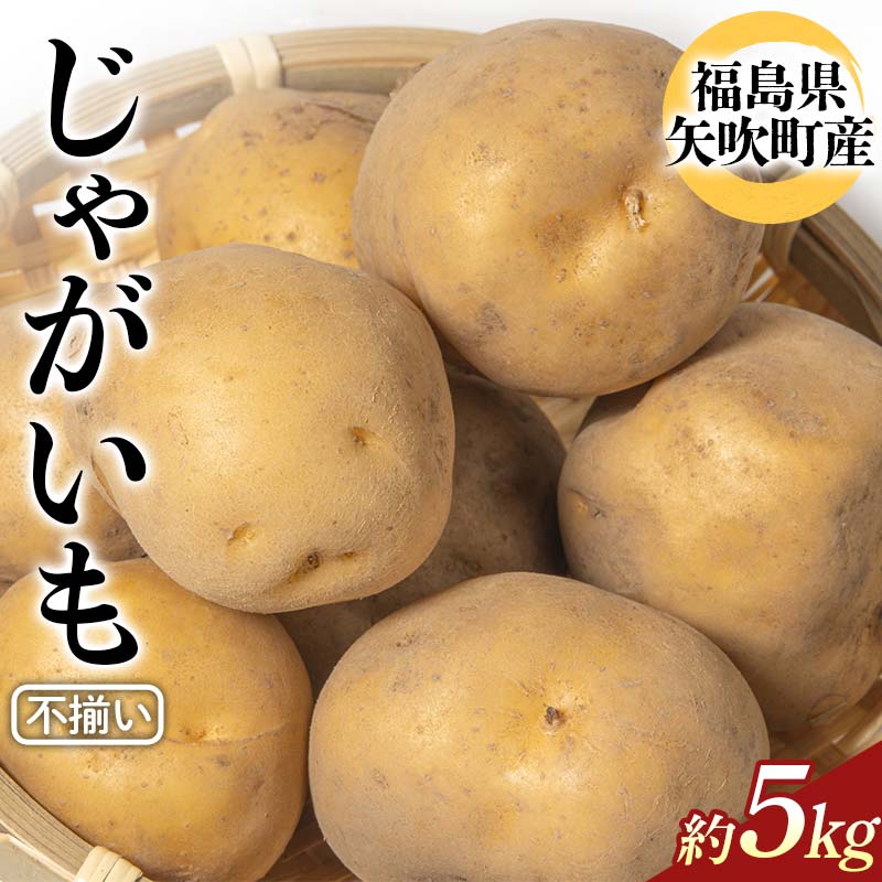【ふるさと納税】 不揃いじゃがいも（品種トウヤ）約5kg ジャガイモ 訳あり 規格外 福島県 矢吹町産 F6U-341