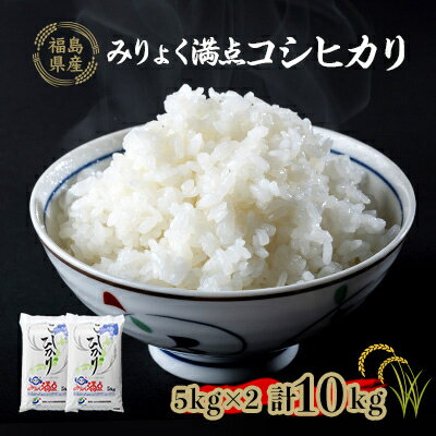 【ふるさと納税】満点コシヒカリ 10kg(5kg×2)【1017726】