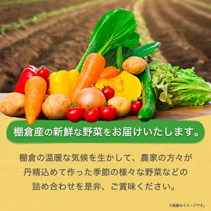 【ふるさと納税】 旬の野菜詰め合わせセット (石安米肥店) _ おまかせ 詰め合わせ 旬 旬野菜 季節の野菜 新鮮 産地直送 産直野菜 人気 美味しい 送料無料 【配送不可地域：離島】【1017731】