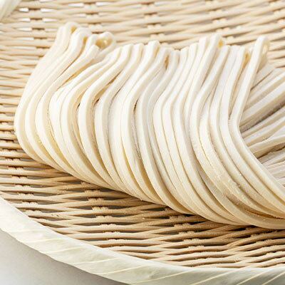 【ふるさと納税】半生うどん「一歩」(10人前/20人前/30人前)【G1210518】