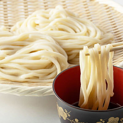 【ふるさと納税】半生うどん「一歩」(10人前/20人前/30人前)【G1210518】