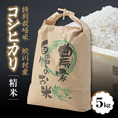 【ふるさと納税】鮫川村産コシヒカリ(精米) (5kg/10kg)【G1210534】