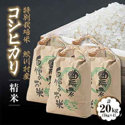 14位! 口コミ数「0件」評価「0」鮫川村産コシヒカリ(精米)20kg【1210536】