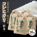 25位! 口コミ数「0件」評価「0」鮫川村産コシヒカリ(精米)20kg【1210536】