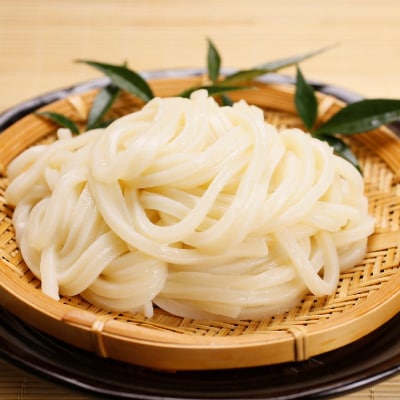 【ふるさと納税】半生うどん「一歩」20人前【1210520】