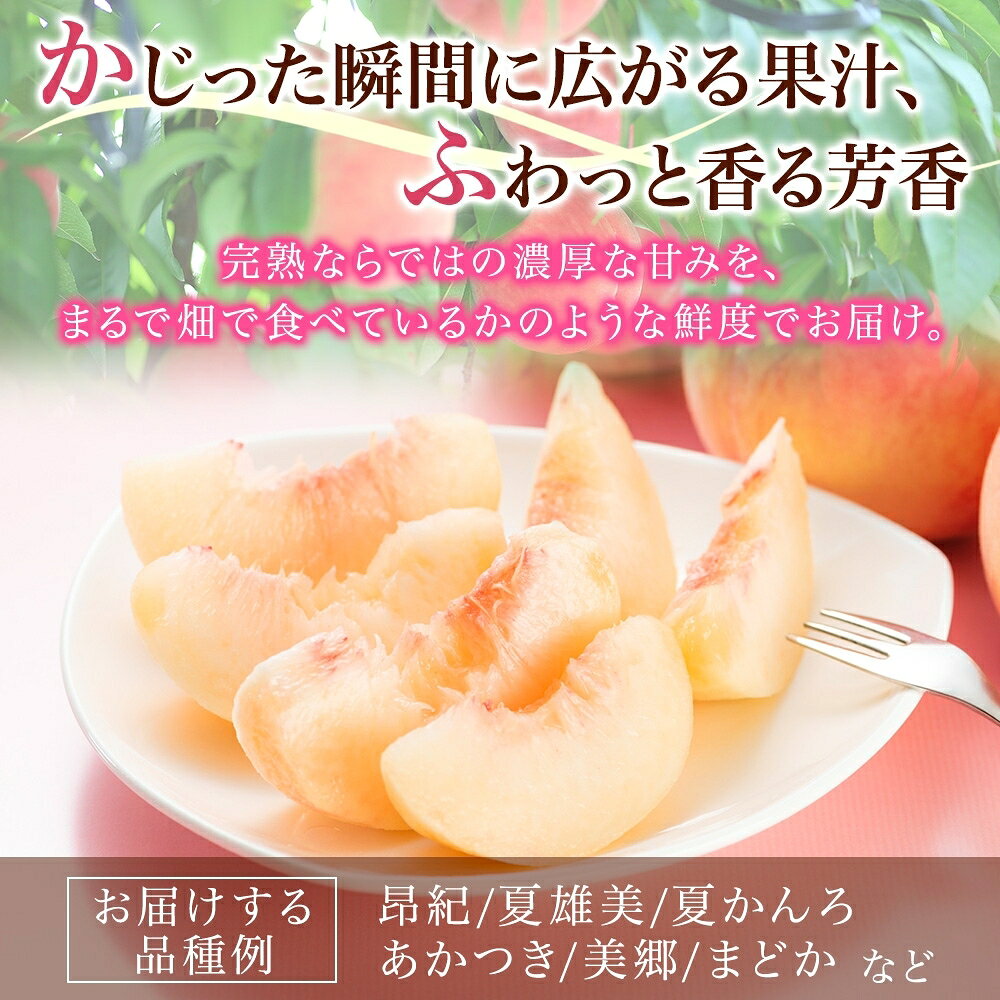 【ふるさと納税】桃 1.5kg 品種お任せ 4～8玉 ｜もも 旬 ランダム 果物 フルーツ 完熟 ピーチ 産地直送 新鮮 大野農園 福島県 石川町【19001】