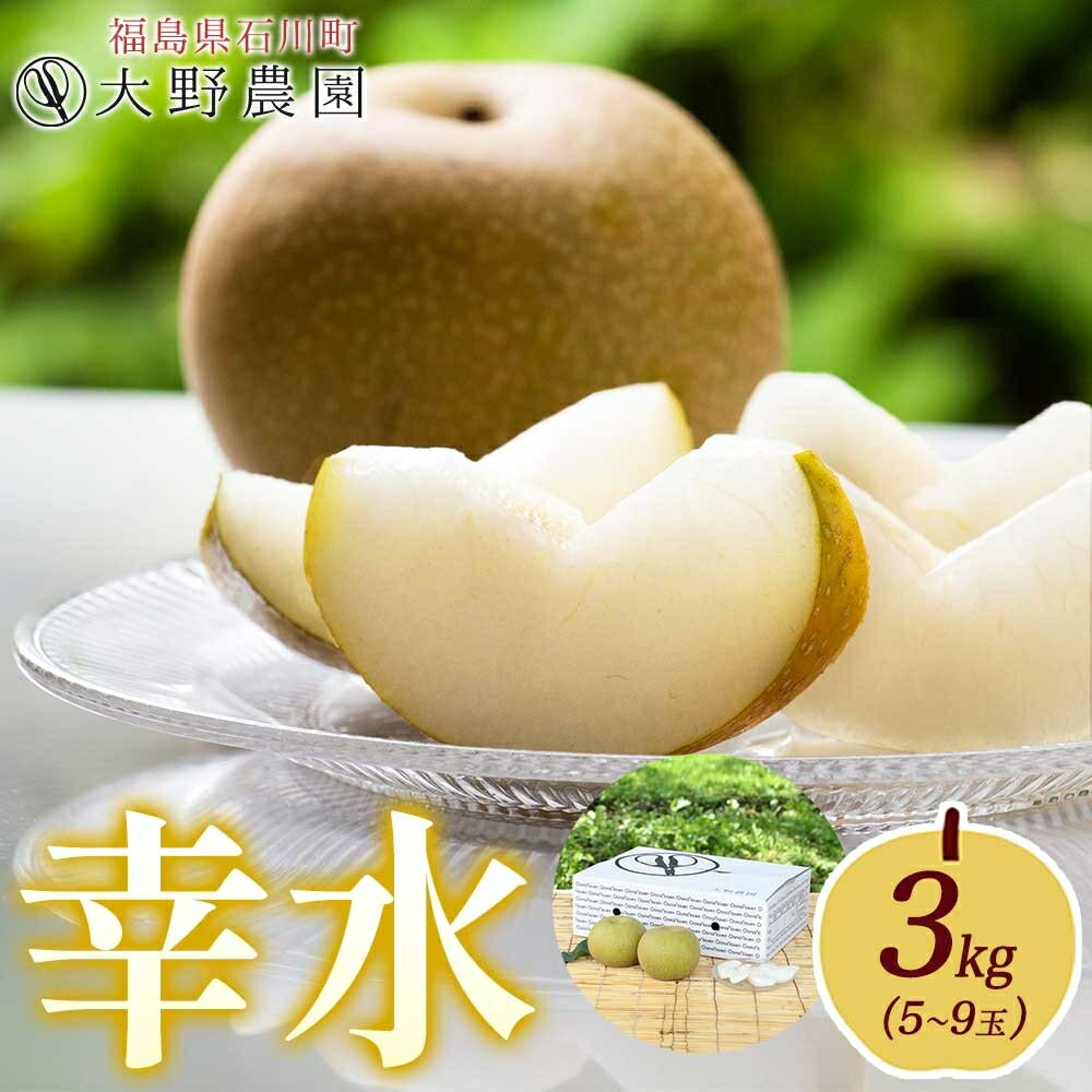 【ふるさと納税】梨 幸水 3kg 5～9玉 ｜ なし 旬 果物 フルーツ 甘い シャキシャキ 産地直送 新鮮 お取り寄せ 大野農園 福島県 石川町【19005】のサムネイル