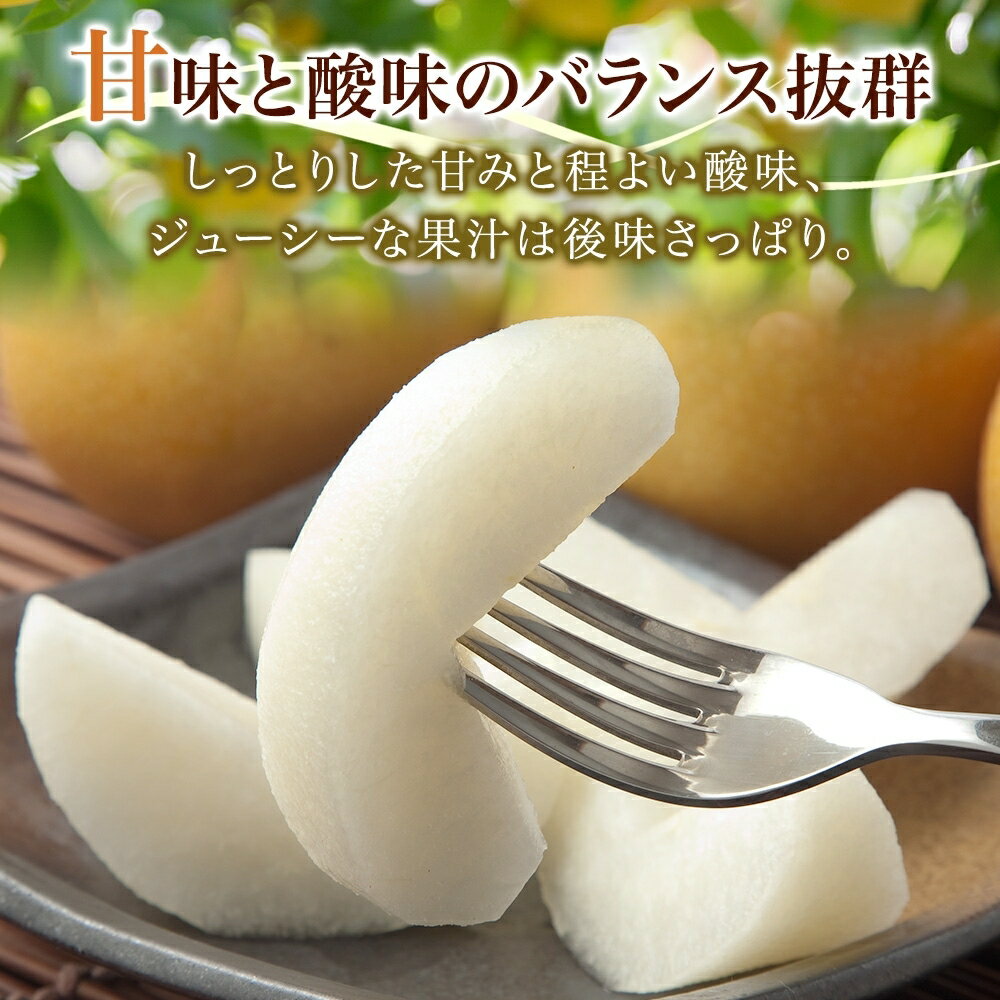 【ふるさと納税】梨5kg 豊水 6～18玉 ｜ なし 旬 果物 フルーツ 甘い シャキシャキ 産地直送 新鮮 お取り寄せ 大野農園 福島県 石川町【19008】