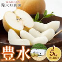 【ふるさと納税】梨5kg 豊水 6〜18玉 | なし 旬 果物 フルーツ 甘い シャキシャキ 産地直送 新鮮 お取り寄せ 大野農園 福島県 石川町【19008】