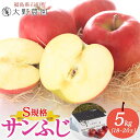 【ふるさと納税】サンふじ 5kg S規格 18〜20玉 りんご リンゴ 旬 林檎 果物 フルーツ 甘い アップル 産直 大野農園 福島県 石川町【19014】