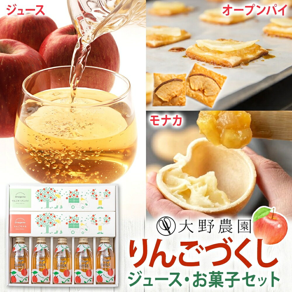 【ふるさと納税】りんごづくし 菓子 ジュースセットA リンゴ オープンパイ モナカ フルーツ お取り寄せ 贅沢 贈答 ギフト 福島県 石川町【19022】