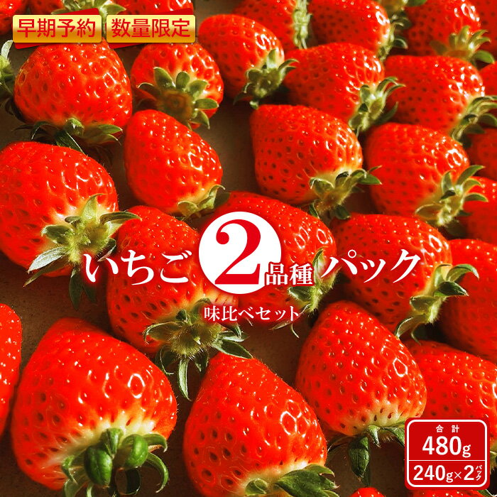 【ふるさと納税】いちご 2種 480g 食べ比べ セット 240g × 2パック 春いちご 紅ほっぺ おいCベリー ゆうやけベリー かおり野 すず はるひ よつぼし ふるさと納税 福島県 石川 石川町 イチゴ 【10004】