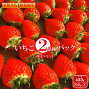 【ふるさと納税】いちご 2種 480g 食べ比べ セット 240g 2パック 春いちご 紅ほっぺ おいCベリー ゆうやけベリー かおり野 すず はるひ よつぼし ふるさと納税 福島県 石川 石川町 イチゴ 【10…