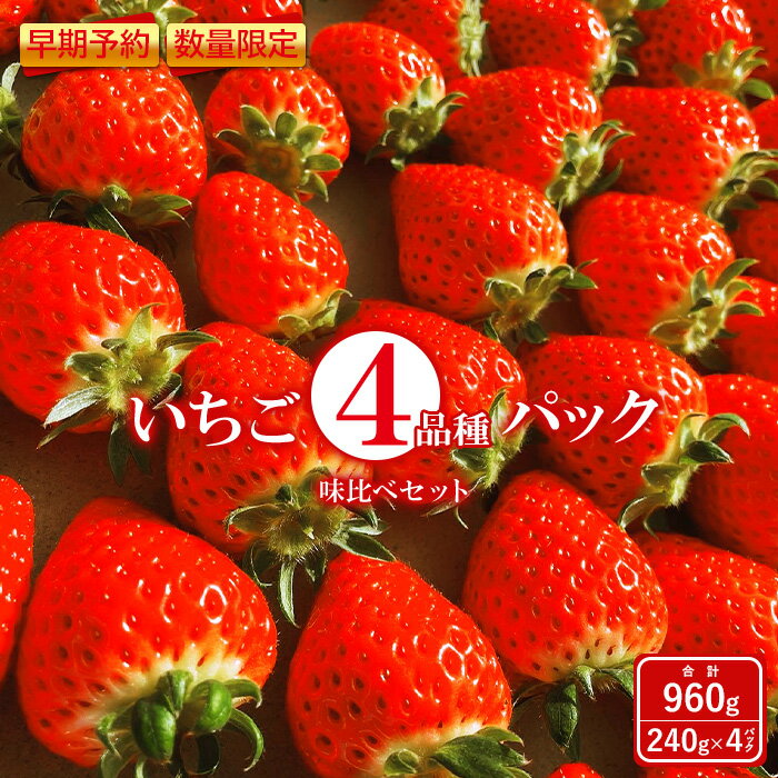 【ふるさと納税】いちご 4種 960g 食べ比べ セット 240g × 4パック 春いちご 紅ほっぺ おいCベリー ゆうやけベリー かおり野 すず はるひ よつぼし ふるさと納税 福島県 石川 石川町 イチゴ 【10005】