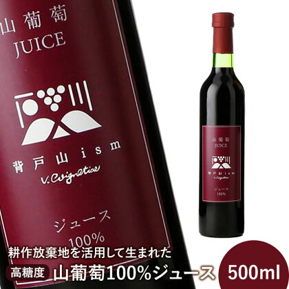 ＜耕作放棄地を活用して生まれた＞高糖度山葡萄100%ジュース 500ml【09010】