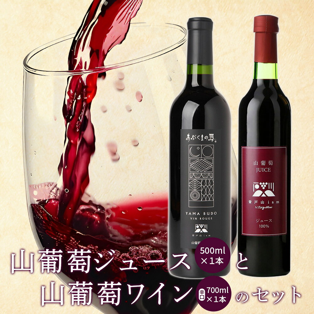 【ふるさと納税】山葡萄ジュース500ml 山葡萄ワイン辛口720mlセット 【29015AA0101】