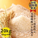 【ふるさと納税】FT18-084 【令和元年度新米】ふるさと