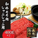 【ふるさと納税】 FT18-195 いしかわ牛 または 福島牛 モモ肉 しゃぶしゃぶ用 800g 肉 牛肉 国産 和牛 黒毛和牛 牛もも肉 福島県 玉川村