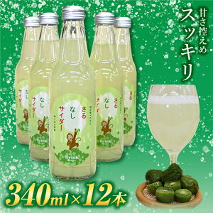 【ふるさと納税】FT18-213 玉川村特産 さるなしサイダー 12本