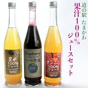 25位! 口コミ数「0件」評価「0」 FT18-179 【道の駅たまかわ】玉川村産果汁100%ジュースセット