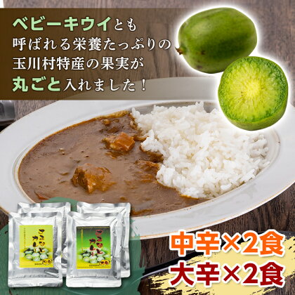 FT18-228 まるごとさるなしカレー4食セット