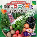 【ふるさと納税】FT18-257 季節の産直売場の野菜と果物詰め合わせ(大)