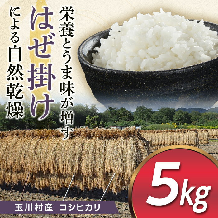 昔ながらのはぜ掛けで自然乾燥させたコシヒカリ精米5kg