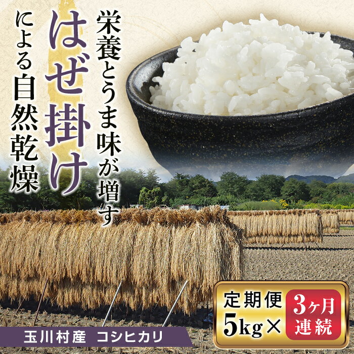 【ふるさと納税】FT18-234 《定期便》昔ながらのはぜ掛けで自然乾燥させたコシヒカリ精米5kg 3ヶ月連続