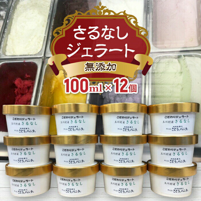 6位! 口コミ数「0件」評価「0」FT18-211 福島県 玉川村産 無添加 さるなしジェラート 12個 100ml さとうとバニラと アイスクリーム ギフト