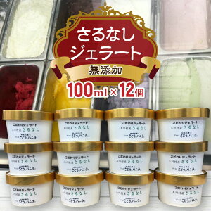 【ふるさと納税】FT18-211 福島県 玉川村産 無添加 さるなしジェラート 12個 100ml さとうとバニラと アイスクリーム ギフト