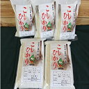 【ふるさと納税】福島県玉川村産コシヒカリ米(10kg)