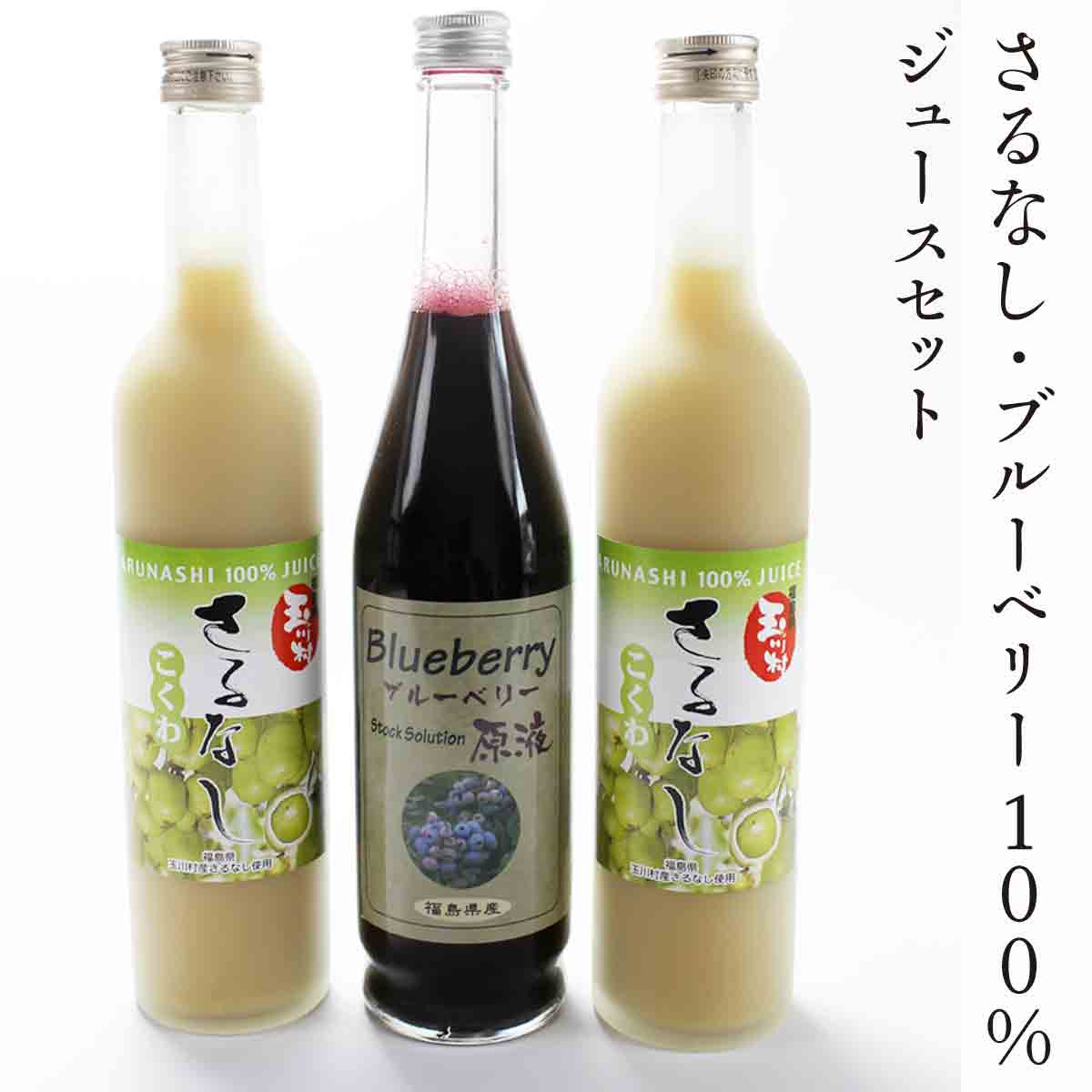 8位! 口コミ数「0件」評価「0」 FT18-184 さるなし・ブルーベリー100％ジュースセット