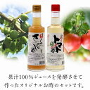 商品説明 名称 醸造酢、果実酢 商品名 玉川村野菜のお酢セット 原材料名 ■トマトのお酢 トマトジュース、醸造酢、アルコール ■さるなしのお酢 こくわ（さるなし）果汁、醸造酢、アルコール 内容量 各300ml 賞味期限 商品ラベルに表示 保存方法 直射日光・高温多湿を避け、常温で保存 提供元 株式会社　こぶしの里 玉川村産のしぼりトマト（水を与えない特殊農法で育てた味の濃いトマト）の水分だけを集めて作った果汁100％ジュースとさるなし（キウイフルーツの原種）の果汁100％ジュースをそれぞれ発酵させて作ったオリジナルお酢のセットです。 調理用お酢ですので、そのまま飲むときは水で薄めていただいて、また野菜サラダやドレッシングを作ってもおいしいです。トマトのお酢は中華料理（特に焼きそば）にかけるとお料理をまろやかにする効果が絶大。 さるなしのお酢は酸味が効いていますのでレモン汁の代わりにお鍋や焼き魚にかけるなどにおすすめです。 事業者：株式会社こぶしの里 ■地場産品基準について（総務省告示第179号第5条第2号） 100％区域内で生産された作物（トマト、さるなし）を主原料として製造し、返礼品に対し相応の付加価値が生じているため。 ※画像はイメージです。画像のものと多少異なる場合があります。 ※配送業者のご指定はできません。 ※こちらの商品はお届け日のご指定ができません。 ※お申し込みが殺到した場合、準備ができ次第、順次発送となりますので申し訳ございませんが、あらかじめご了承のほどお願いいたします。 ※お受け取りができなかった場合の商品の保証は致しかねますので何卒ご了承下さいませ。 ・ふるさと納税よくある質問はこちら ・寄附申込みのキャンセル、返礼品の変更・返品はできません。あらかじめご了承ください。「ふるさと納税」寄付金は、下記の事業を推進する資金として活用してまいります。 寄付を希望される皆さまの想いでお選びください。 1. 地域の振興に関する事業 2. 教育の振興に関する事業 3. 人材育成・子育て支援に関する事業 4. 住民福祉の向上に関する事業 特徴のご希望がなければ、村政全般に活用いたします。 入金確認後、注文内容確認画面の【注文者情報】に記載の住所にお送りいたします。 発送の時期は、寄附確認後2ヵ月以内をを目途に、お礼の特産品とは別にお送りいたします。