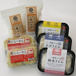 【ふるさと納税】 生麺5種セット（純生うどん、かけうどん、ぶっかけうどん、生パスタ、らーめん）