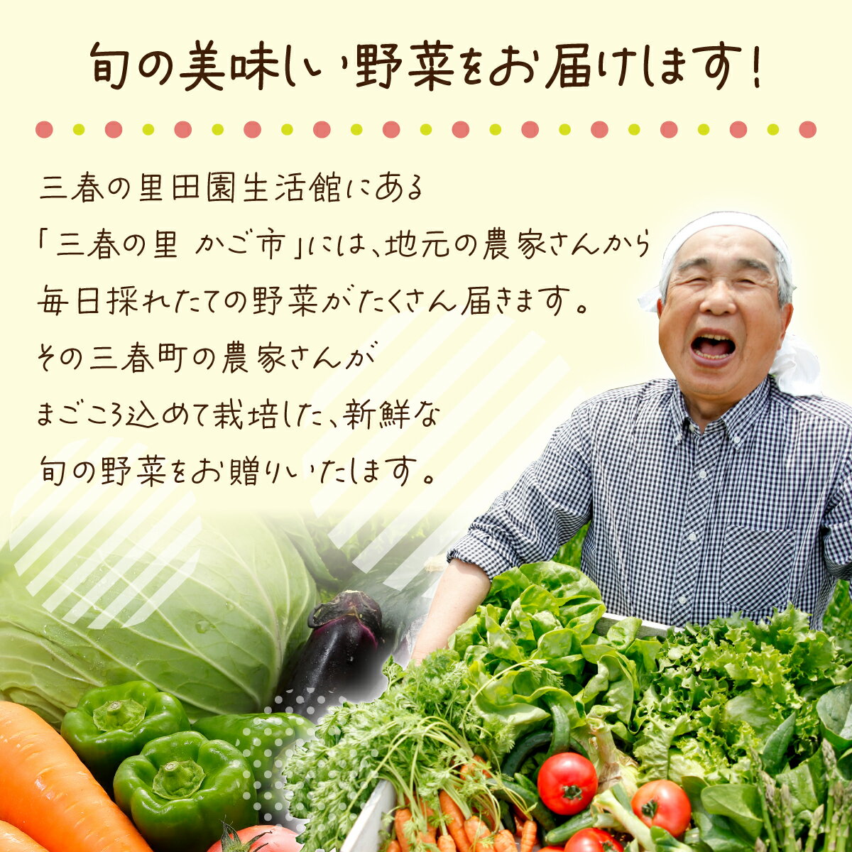 【ふるさと納税】【旬の野菜】三春町産野菜の詰合せ　【07521-0007】