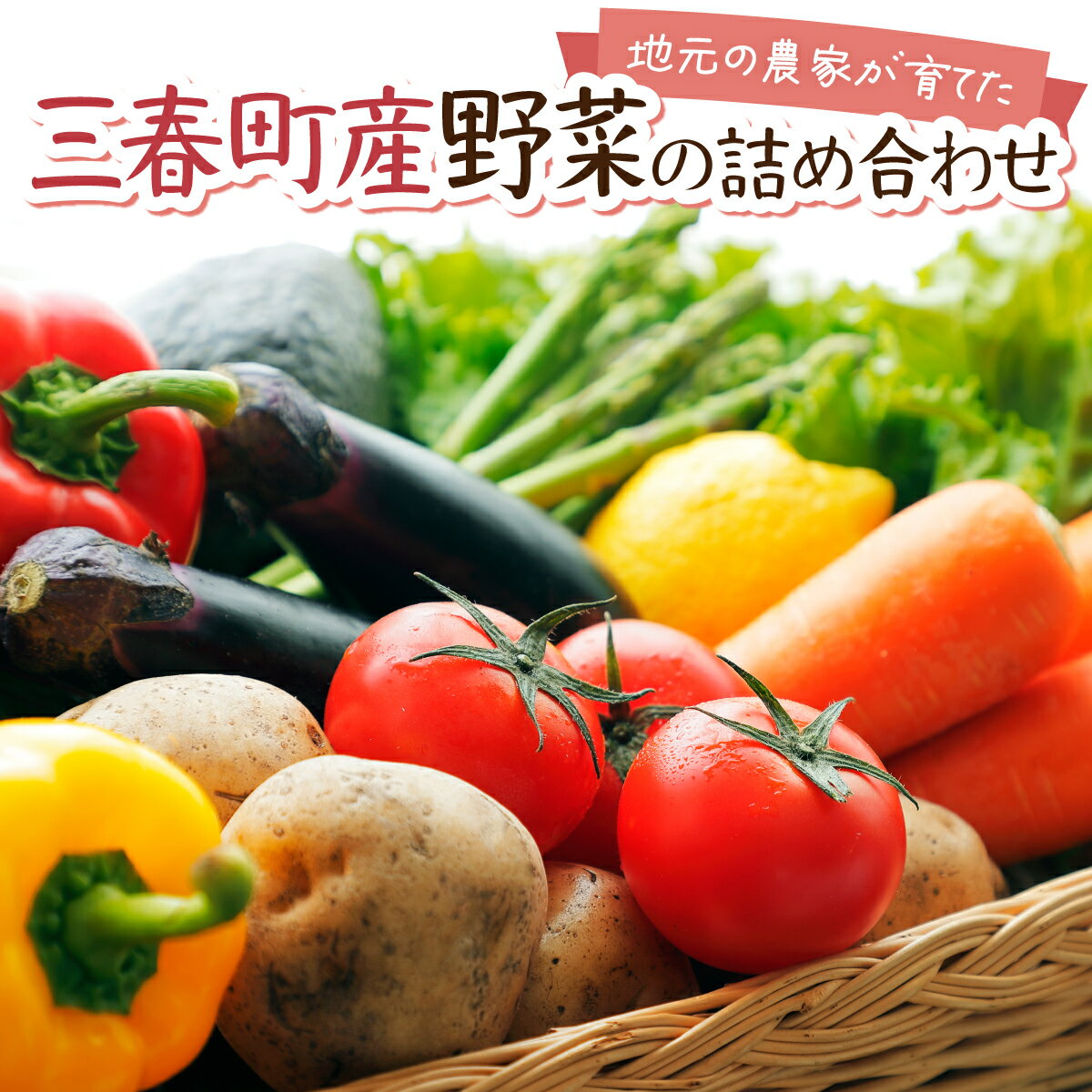 [旬の野菜]三春町産野菜の詰合せ [07521-0007]