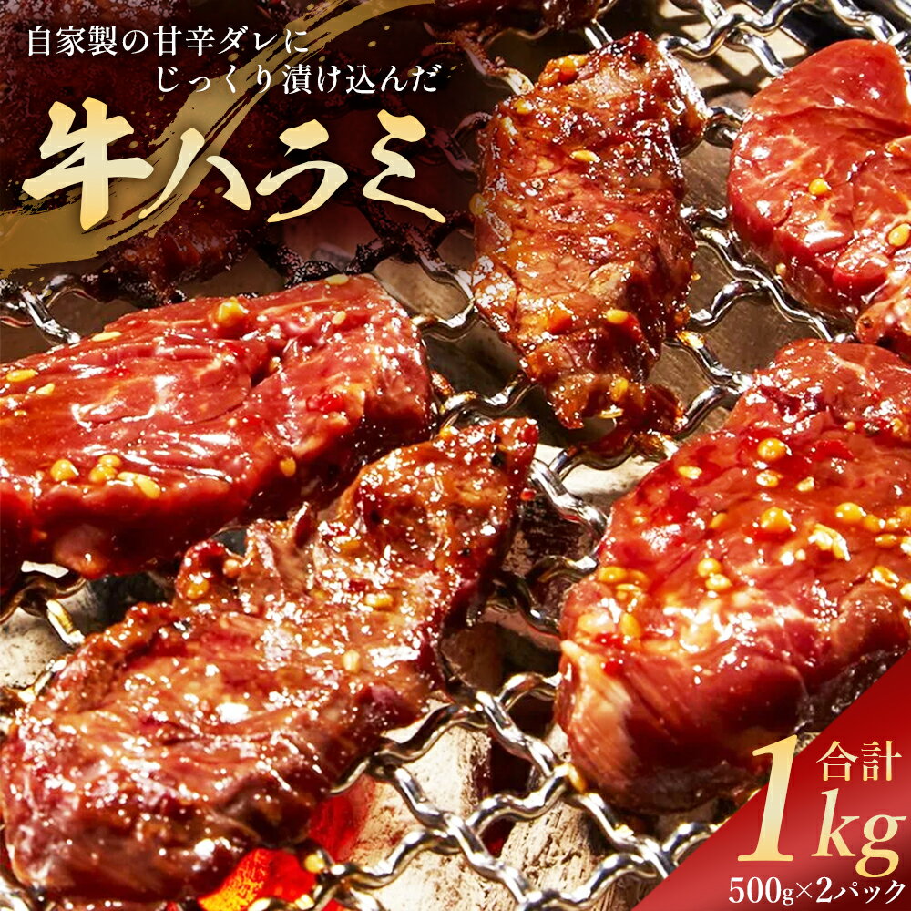 自家製甘辛ダレ牛ハラミ 1kg(500g×2パック) [牛肉 肉 焼肉 焼き肉 BBQ バーベキュー キャンプ ごはん おかず おつまみ 冷凍 福島県 三春町][07521-0138]