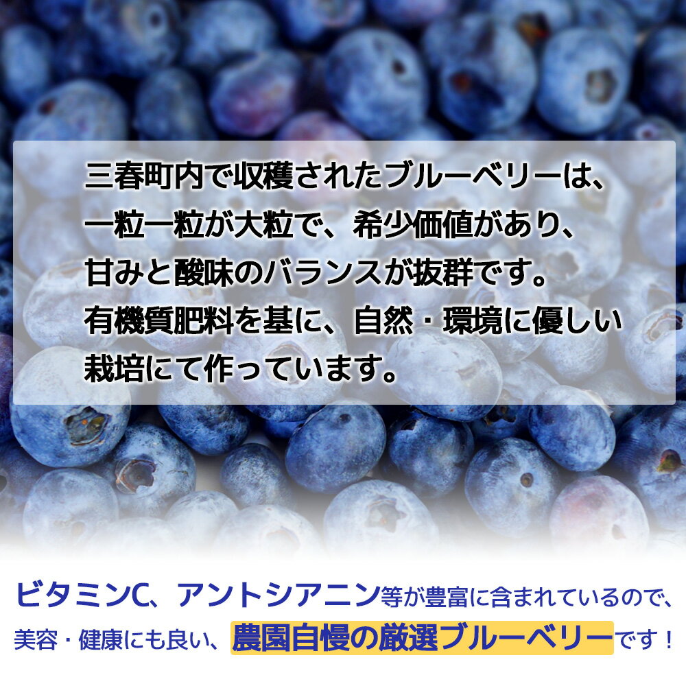 【ふるさと納税】三春ブルーベリー 500g×2パック／計1kg 【2025年6月下旬発送】【期間限定 三春町産 生ブルーベリー 大粒 冷蔵 福島県 三春町 三春ブルーベリー倶楽部 有機質肥料 果物 国産 フルーツ 果実 旬 お中元 夏 ギフト プレゼント 贈り物】【07521-0103】