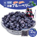 【ふるさと納税】【訳アリ】三春冷凍ブルーベリー 1kg×2袋/計2kg【三春町産 冷凍ブルーベリー 大粒 福島県 三春町 三春ブルーベリー倶楽部 有機質肥料 果物 国産 フルーツ 果実 旬】 【07521-0110】