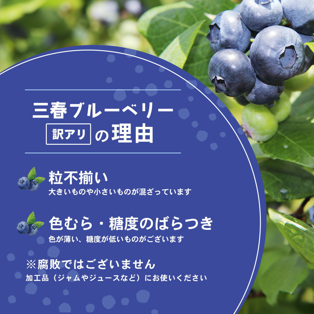 【ふるさと納税】【訳アリ】三春冷凍ブルーベリー 1kg×2袋／計2kg【三春町産 冷凍ブルーベリー 大粒 福島県 三春町 三春ブルーベリー倶楽部 有機質肥料 果物 国産 フルーツ 果実 旬】　【07521-0110】