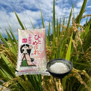 【ふるさと納税】令和6年産福島県小野町産ひとめぼれ 5kg 精米【1630012】