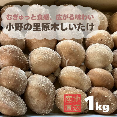 【ふるさと納税】むぎゅと触感 広がる味わい 小野の里「原木しいたけ」1kg【配送不可地域：離島・北海..