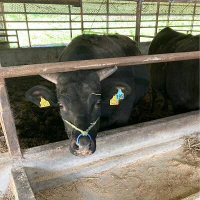 福島県小野町の【ふるさと納税】【小町の里・幸牛】黒毛和牛焼肉　300g×3　計900g【配送不可地域：離島】【1762866】｜アングル2