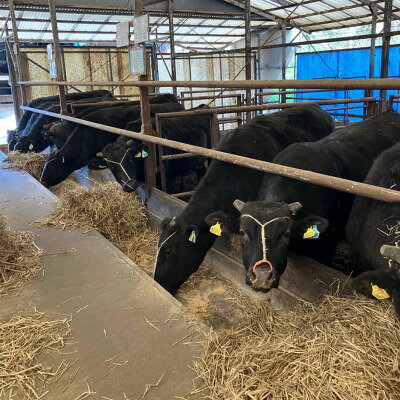 福島県小野町の【ふるさと納税】【小町の里・幸牛】黒毛和牛焼肉　300g×3　計900g【配送不可地域：離島】【1762866】｜アングル3