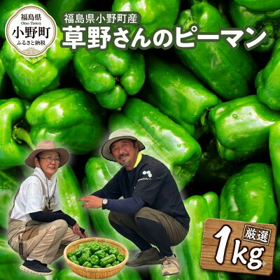 草野さんのピーマン 1kg【1787568】
