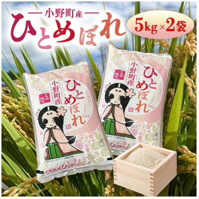 【ふるさと納税】【毎月定期便】福島県小野町産ひとめぼれ 精米 10kg(5kg×2袋)全3回【4081889】